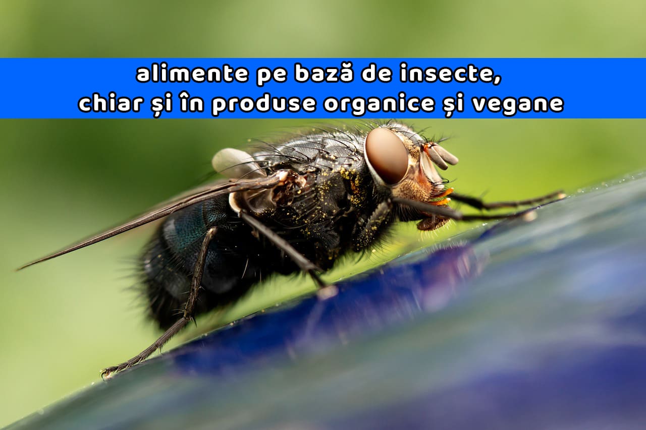 alimente Anti Fakenews