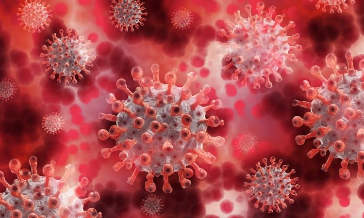 coronavirus_medium Sănătate