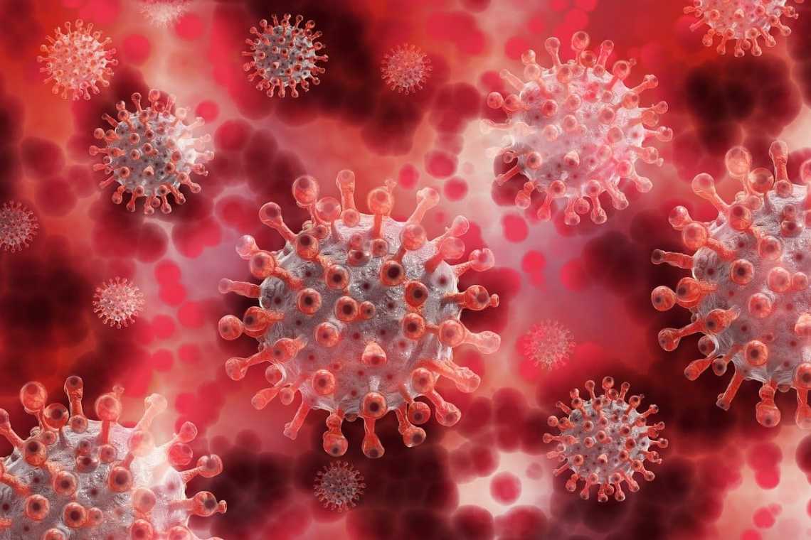 Covid: „pacienții zero” au fost oamenii de știință de la Institutul de Virologie din Wuhan