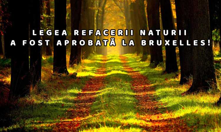 LEGEA-NATURA_medium BOOM: Parlamentul European a aprobat legea refacerii naturii!