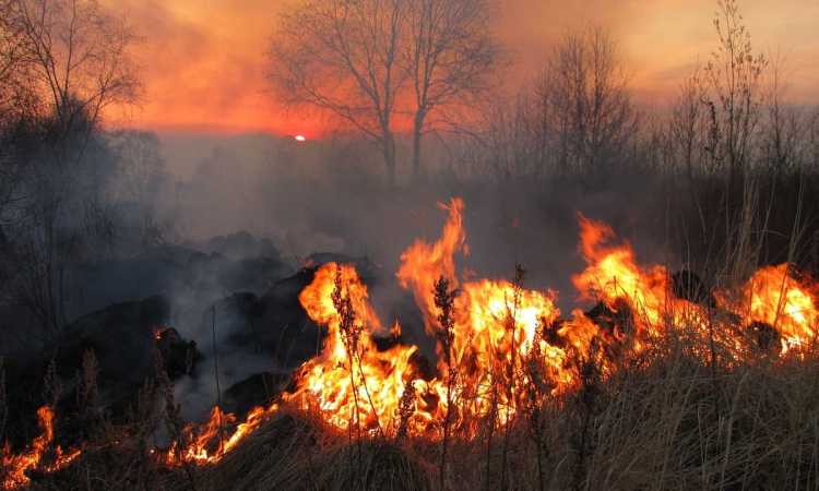 incendiu-grecia_medium Știri Externe