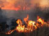 incendiu-grecia_small Știri Externe