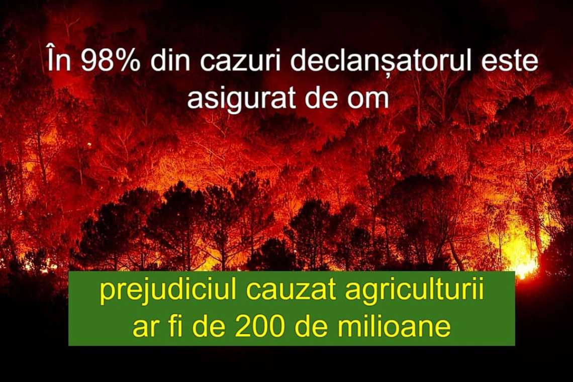 INCENDII ITALIA? Piromanii sunt înrolați pentru terorismul climatic!