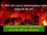 italia-incendii_small Știri Externe