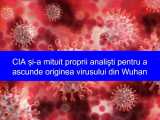 cia-virus_small Sănătate