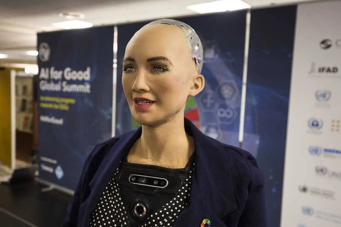 BOOM: „Noi, roboții, vom guverna mai bine decât voi, umanii”!